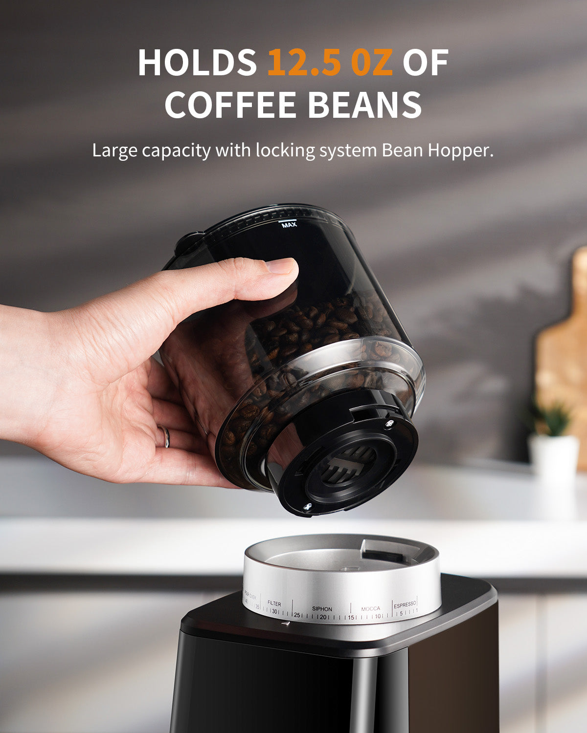 SHARDOR® Electric Conical Burr Coffee Grinder