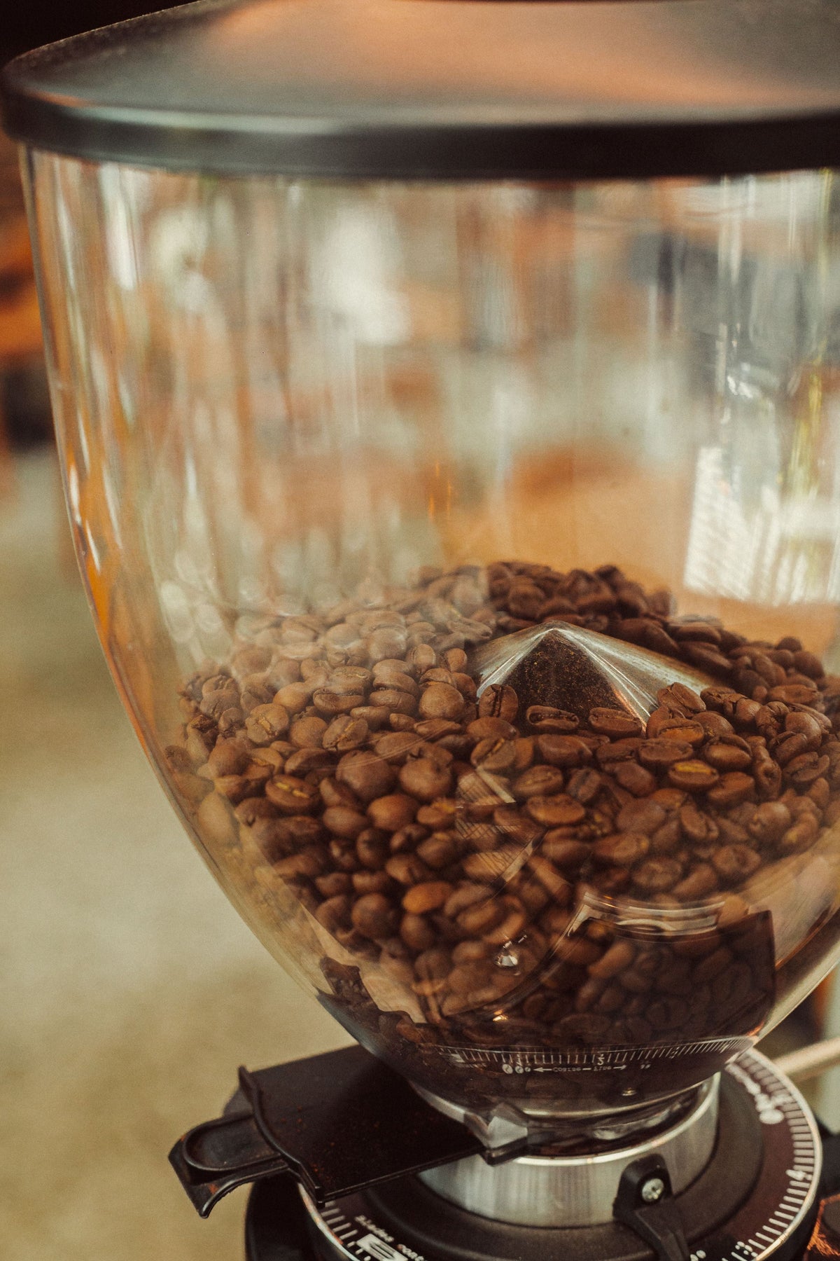 Close-up of a large coffee grinder hopper filled with roasted coffee beans on a burr grinder